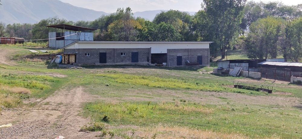 Сдам в аренду ФАЗЕНДУ