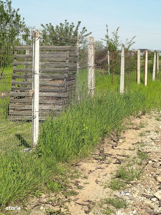 Vanzare teren 4000 mp Ulmi- Dambovita