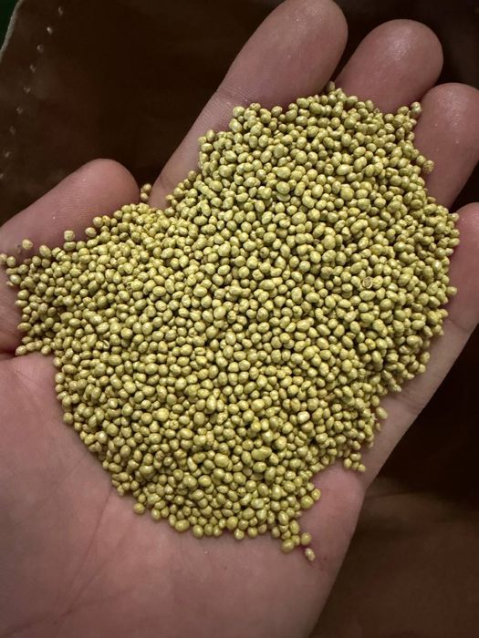 Beda urug’i TURKIY OPTIM