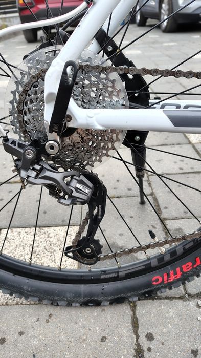 Focus Black Rider Sport Series