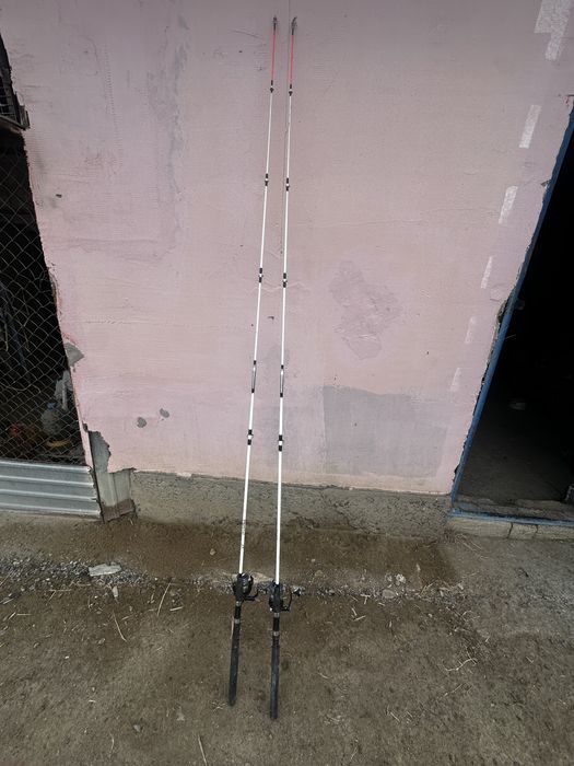 Спиниги крокодил