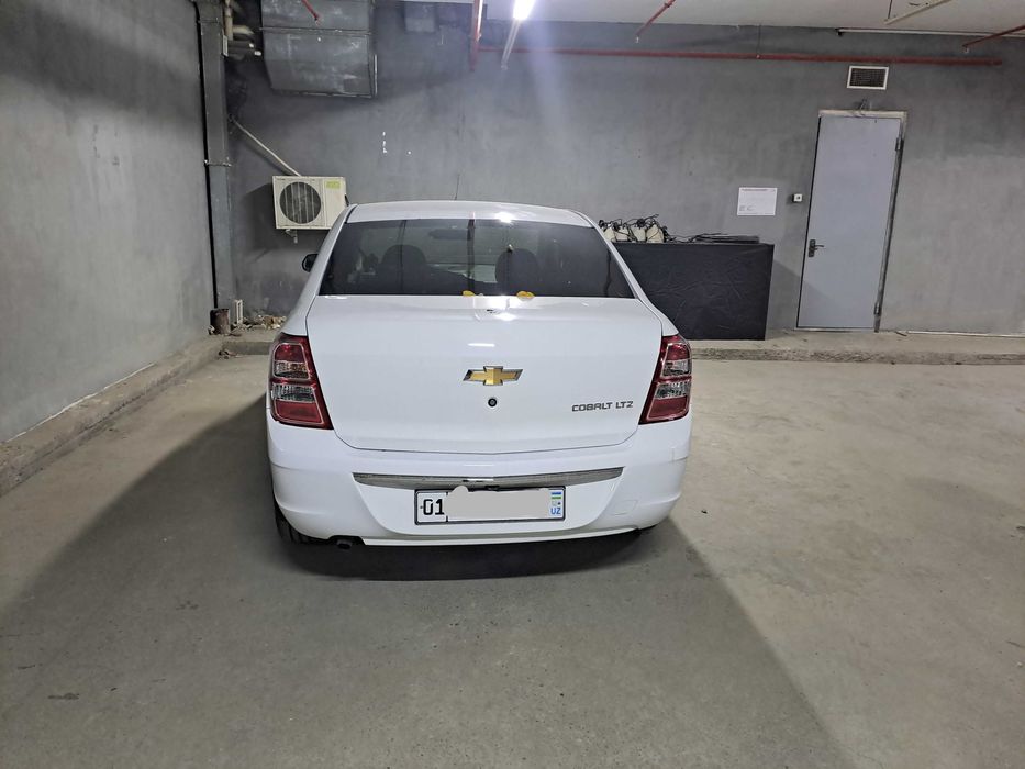 Cobalt-Style AT Plus, 2024