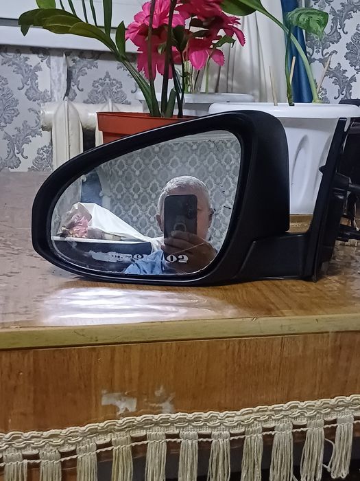 Боковое зеркала левый