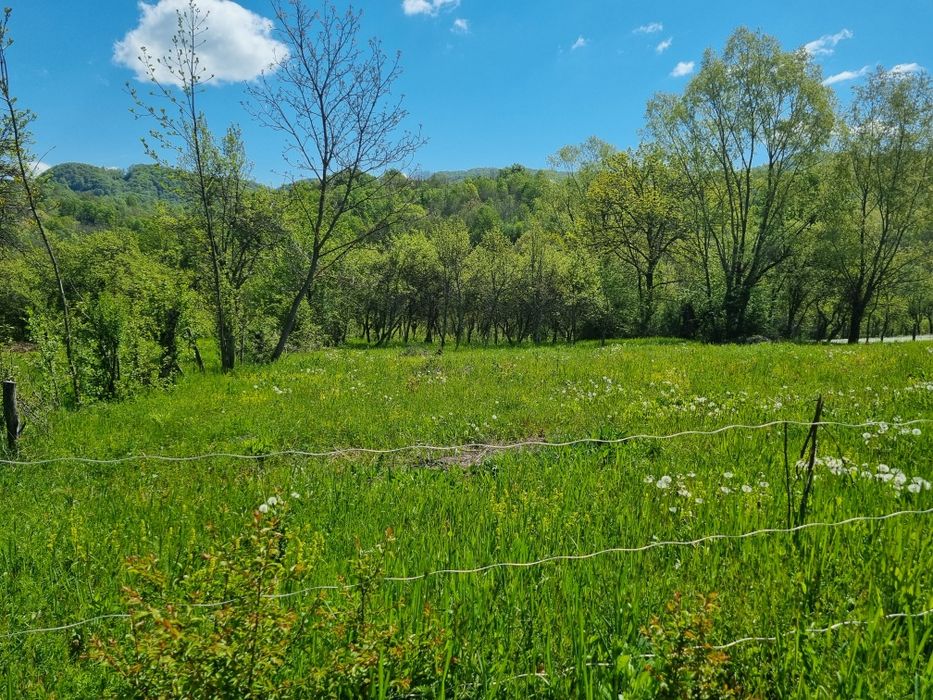 Teren in zona Calimanesti-Caciulata, cu iesire la parau
