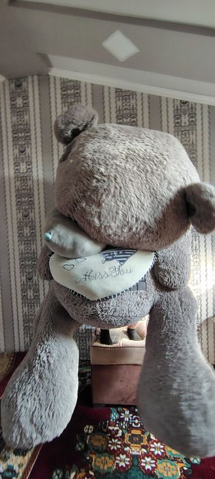 Teddy Ayiq eng kottasi