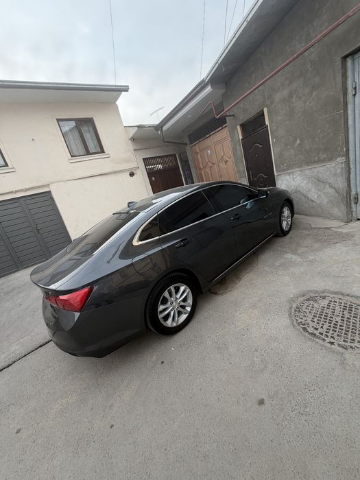 Malubu 2.  2.4 mator