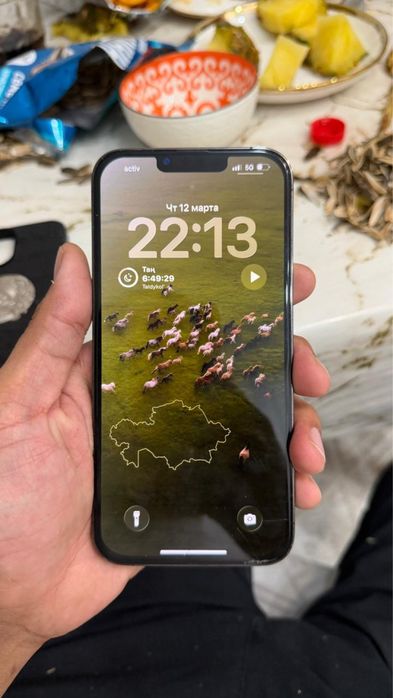 Iphone 13 pro max 256