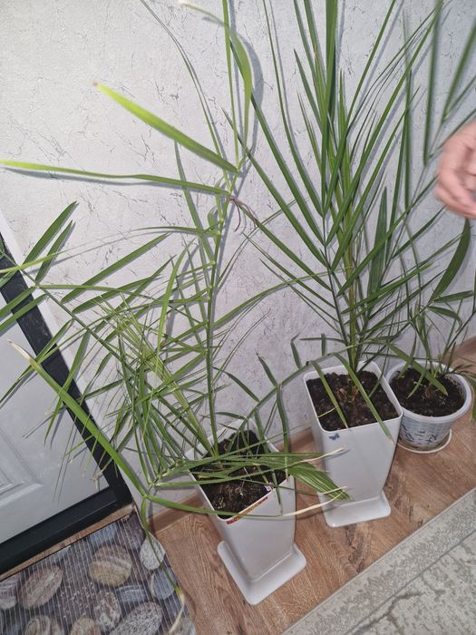 3/4 кавер почти новый