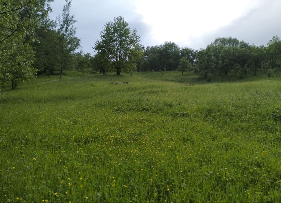 Teren de vanzare pitoresc in Secaria