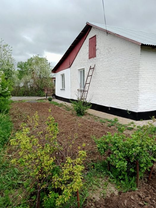 Дом в селе Черемшанка