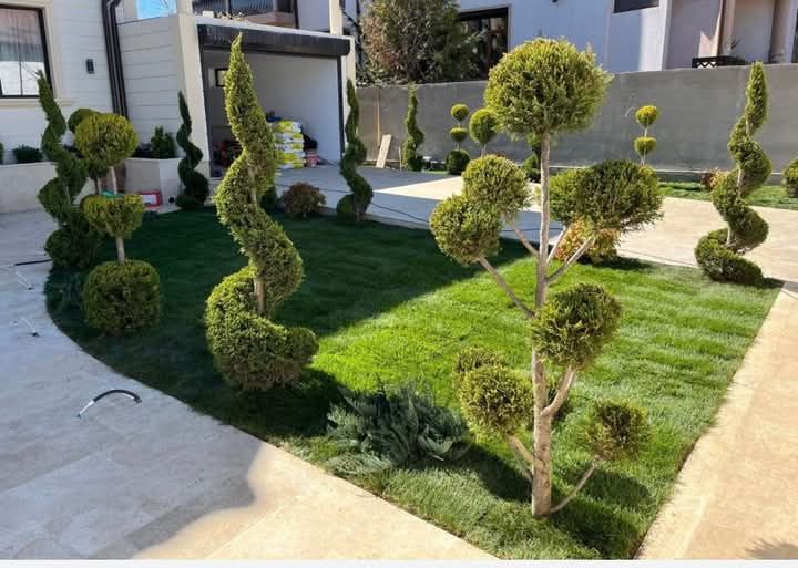 Gazon Rulou și sistem de irigatii