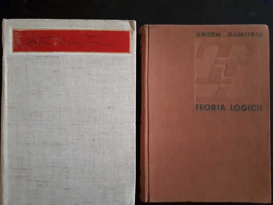 Istoria logicii, Anton Dumitriu