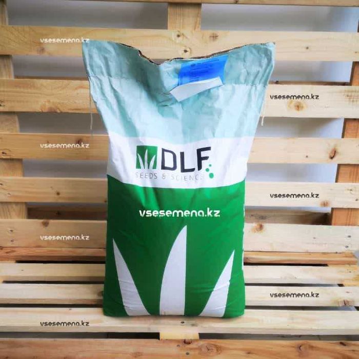 Белый клевер Ривендел (Rivendel)