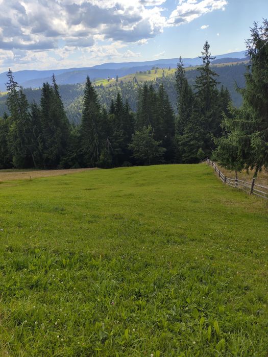 Teren de vanzare 1 ha – Perivata, Argel, com. Moldovița, Suceava