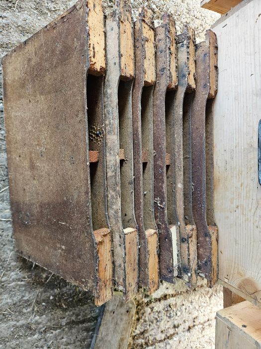 Lazi albine/stup orizontale 18 rame cu hranitor/uluc 4l