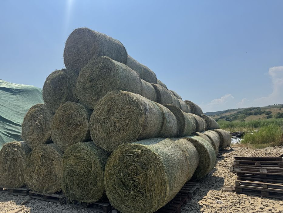 Baloti lucerna coasa 3