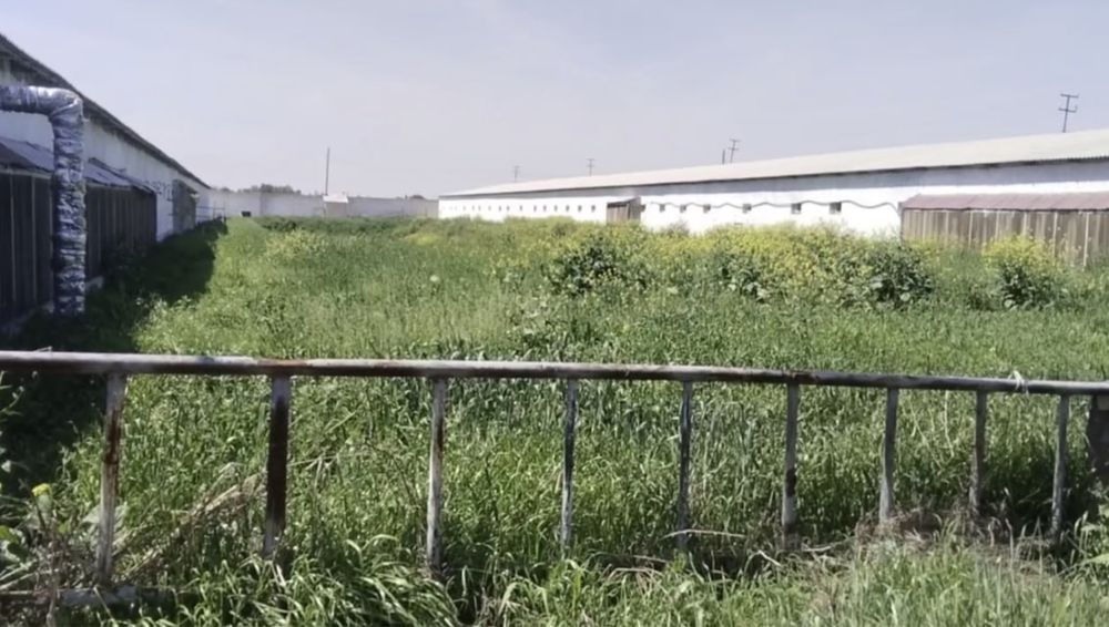 Срочно Продается Две Фермы Чирчик