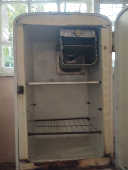 Днепр халаделник