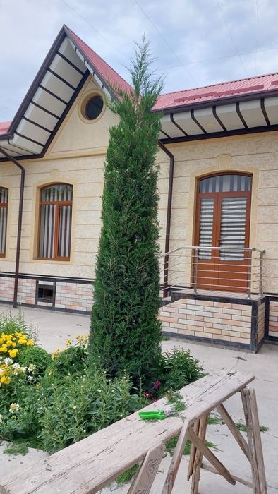 Archa va gullarga shakil berish xizmati