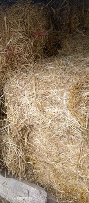 Пчан прес. Юмшоқ ўт