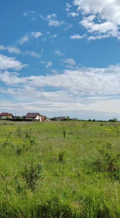 Teren intravilan 2600 mp – Dumbrava Roșie / Dâmburi 3/4