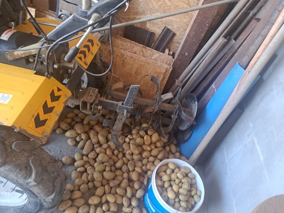 Motocultor  progarden