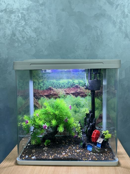 Заводские аквариумы ‼️‼️