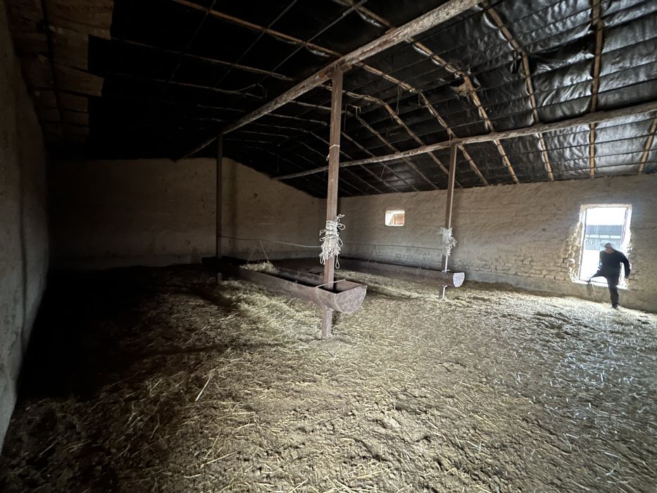 Дайын Қора 800-га жер телімі сатылады