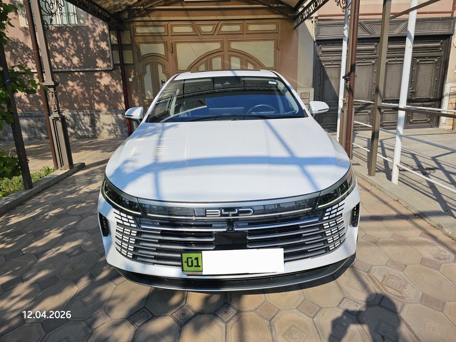 BYD Chazor 120 Flagship 2023