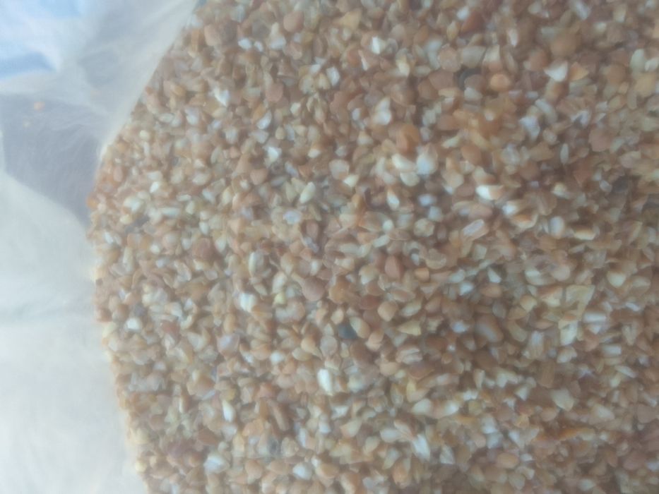 ОТХОДЫ Зерноотходы сечка Отруби корм