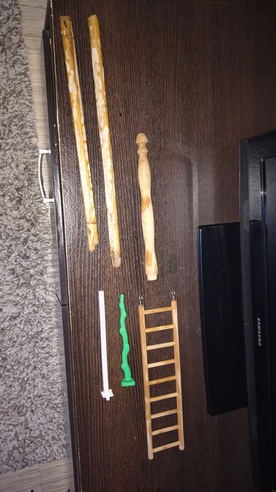 vând papagal nimfă cu tot cu cușcă