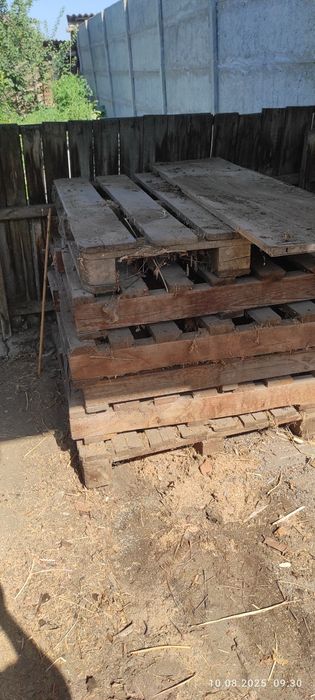 Падоны дерево бу