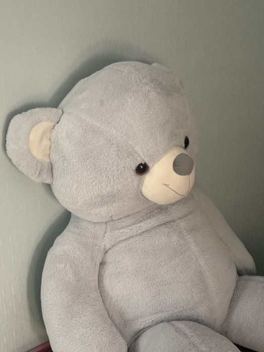Плюшевый медведь