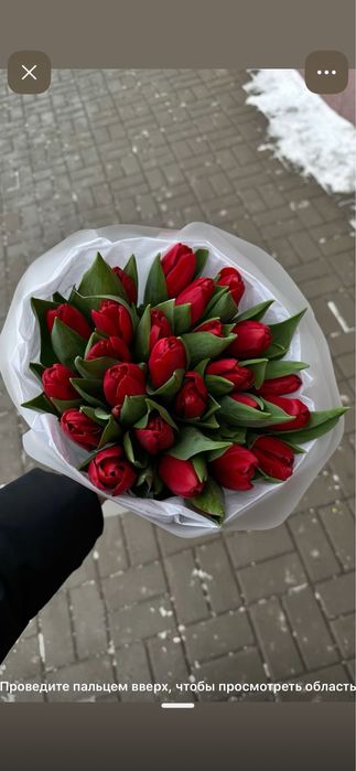 Премиум Тюльпаны, крупные, отборные! К 8 марта!