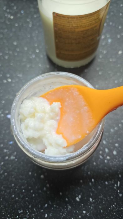 Ciuperca de kefir de lapte