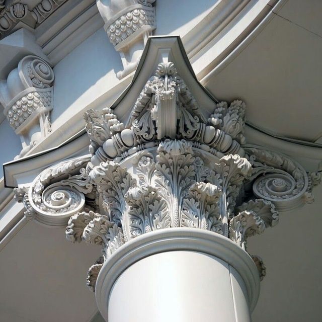 Gips tyaga lepka xizmatlari