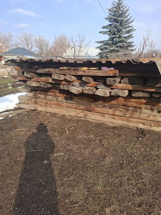 Продаю полукровка лиственницы