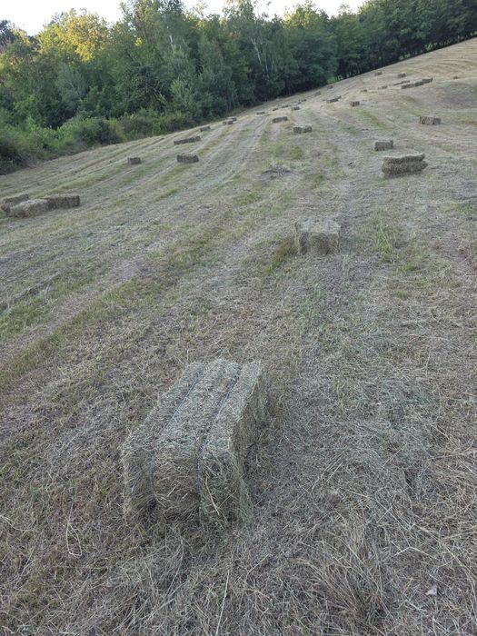 Baloți de fân ..