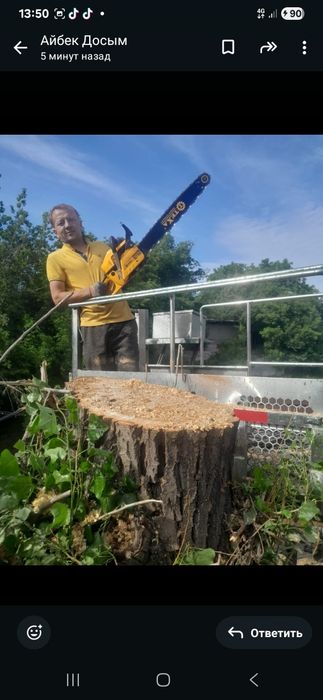 Спил деревьев не дорого Алматы