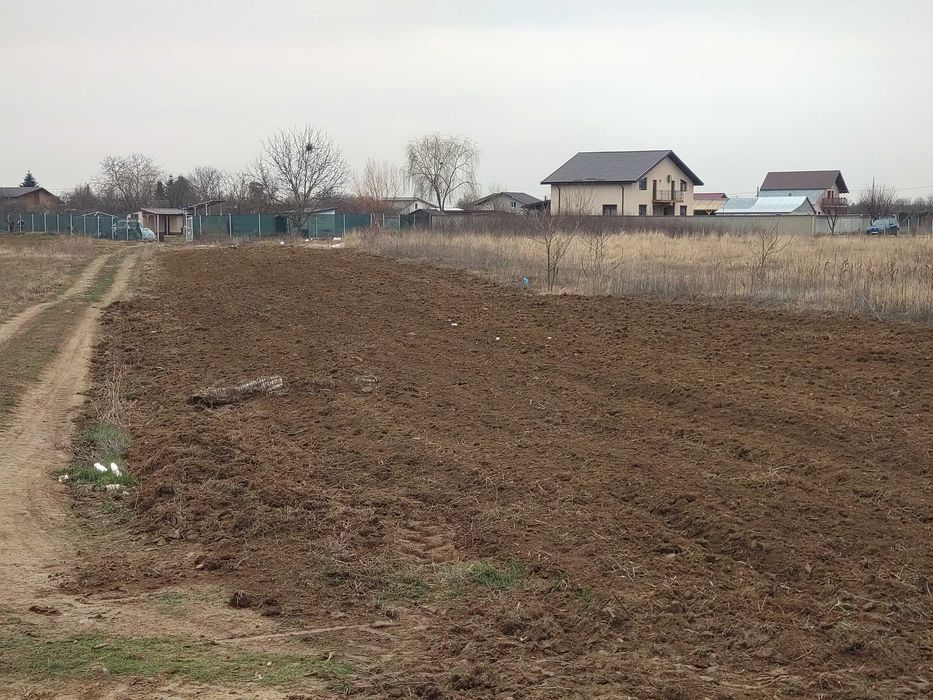 Vând teren  1290  M2 Măgurele Pruni Dumitrana (Bragadiru)str Romaniței