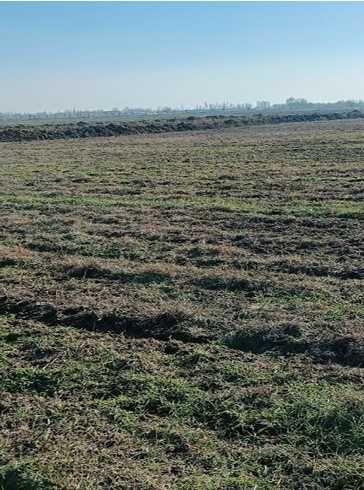 Сельхоз земля 40 соток (Арнеда)