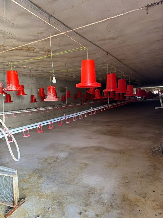 Птицафабрика сотилади 2.35 гектар