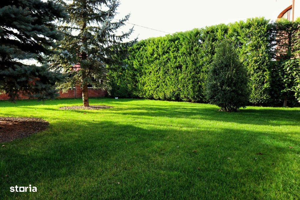 Casa Premium Zona Bucium La Strada Principala