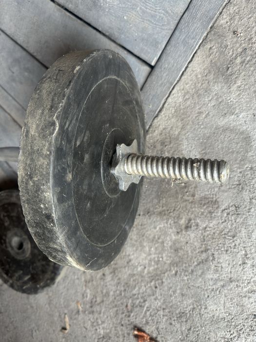 Штанга с изогнутым грифом