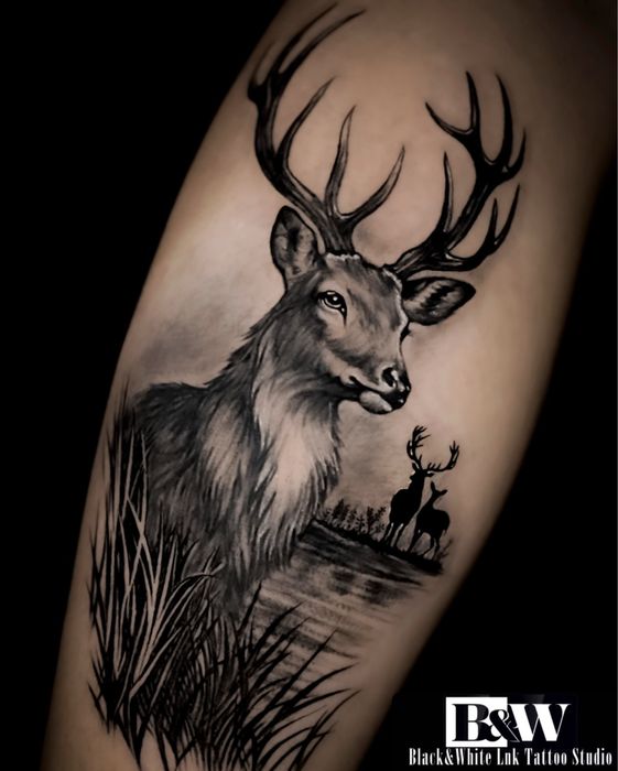 Tattoo Varna, студио за татуировки Варна, татуси, tattoo studio, тату