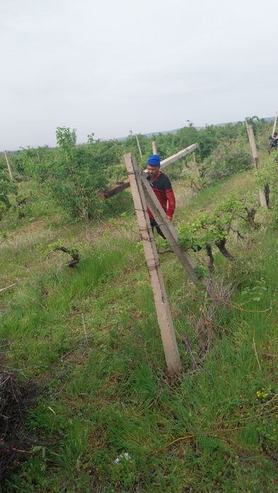 Șpalieri metalici și de beton de vânzare cu transport la tine acasă