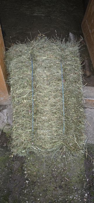 Vand baloti trifoi si otava