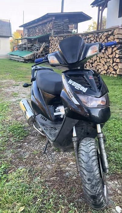 Scuter spin explorer