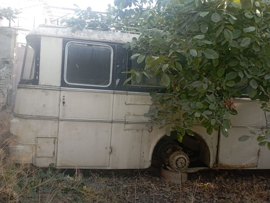 Автобус Икарус 620