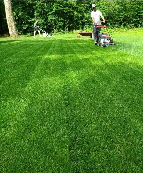 Gazon, Automatizare Sisteme de irigat, Scarificare, Mentenanță